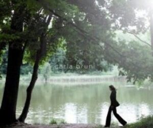 Matin bruni
