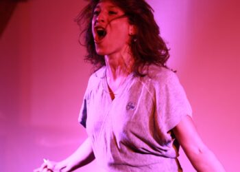 Carrefour Chanson de Clermont-Ferrand : 20 ans déjà ! (2)