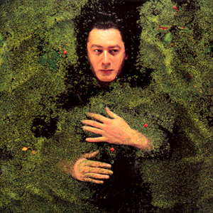 Alain Bashung « La nuit je mens »
