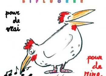 Chanson plus bifluorée « Moi je fais la vaisselle »