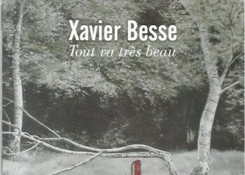 Xavier Besse, nouveau venu dans nos préférences chanson