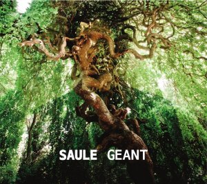Saule « Type normal »