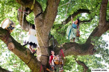 Delphine Coutant : sur mon arbre perchée