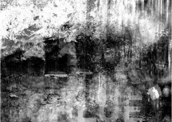Julien Fortier « Les idées sombres »