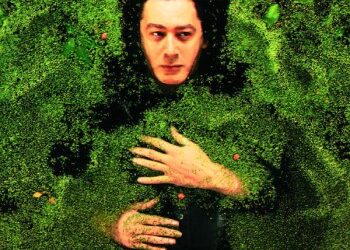 Alain Bashung « La nuit je mens »