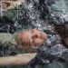 Blandine Robin, le disque qui fait sens