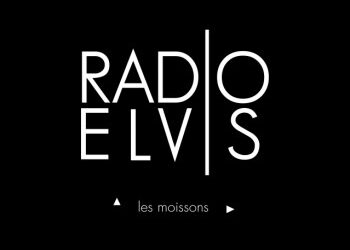 Radio Elvis « Elle partira comme elle est venue »