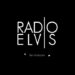 Radio Elvis « Elle partira comme elle est venue »