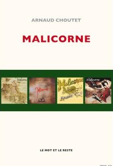 On accordera grande importance à la passionnante mais trop succincte biographie du groupe Malicorne écrite par Arnaud Choutet et parue l’an passé aux éditions Le mot et le reste. De Stivell et d’avant, l’itinéraire de Gabriel Yacoub et de ses compagnons, au sein et en parallèle de ce groupe entre tous mythique du folk français. Un document précieux, richement iconographié, qui remet Malicorne en perspective dans notre histoire musicale contemporaine. Bien des biographies sont consternantes car bâclées : celle-ci est d’une totale précision, d’une grande honnêteté. MK