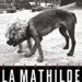 La Mathilde « Macadam »