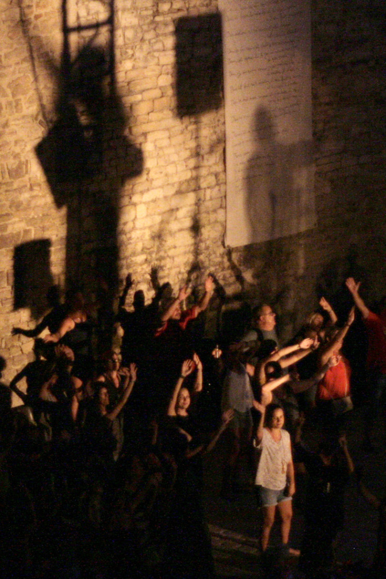 Durant le concert de HK (photo Anne-Marie Panigada)