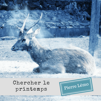 Lémo pour le dire