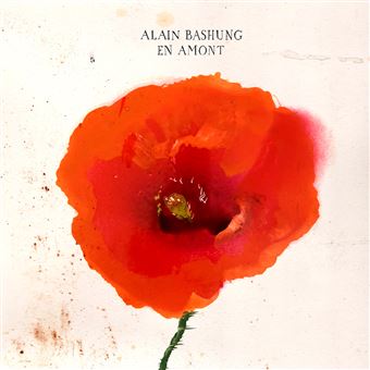 Bashung sauvé des os, immortel