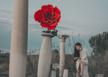 Rose Kid «  Nos années tendres »