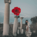 Rose Kid « Nos années tendres »