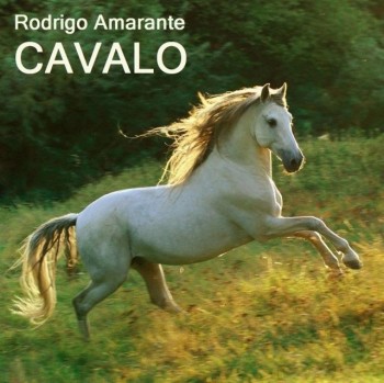 Amarante Rodrigo 2014 Cavalo
