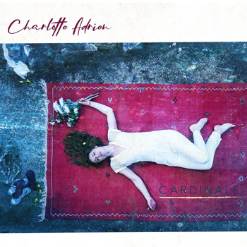 Charlotte Adrien « Une sortie sur la lune »