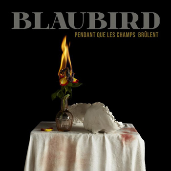 BlauBird « Pendant que les champs brûlent »