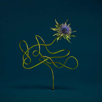 Julien Belliard « L&rsquo;autre hémisphère »