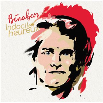 Bénabar, la vie est une belle histoire