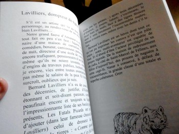 Un livre richement illustré par Lily Luca