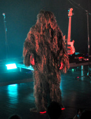 Monsieur Lichen