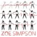 Zoé Simpson « Novembre sous les cendres »