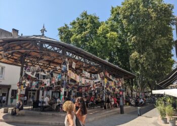 Off Avignon 2023, l&rsquo;Ambigu, l&rsquo;Atelier Florentin, l&rsquo;Atypik, l&rsquo;Incongru, Le Figuier pourpre