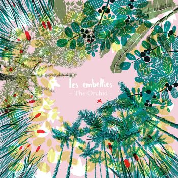 The Orchid « Les embellies »