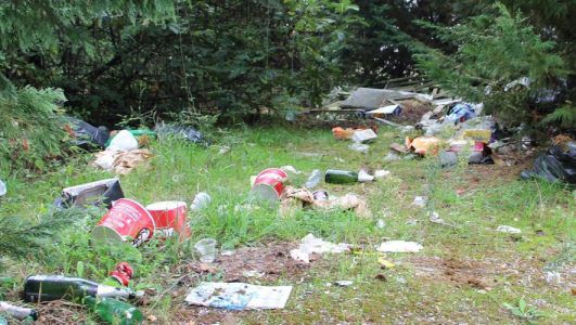 Le livre nous apprend qu'en réalité, le jardin de Charles Trenet n'était pas extraordinaire !