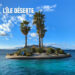 Thomas Cousin « L’île déserte »