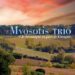Myosotis Trio « Je bivouaque au pays de Cocagne »