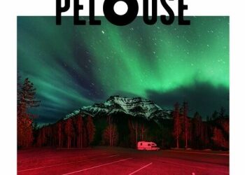 Pelouse « Ours »