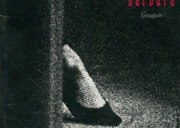 Lionel Damei « Vol de nuit »