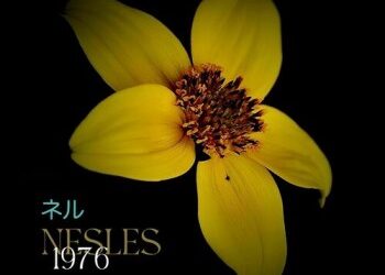 Nesles « 1976 »