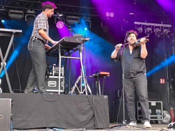 Kowari (photo Pol de Groeve)