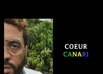 Jann Halexander « Cœur canari »