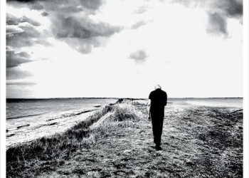 Dominique A « La terre à personne »